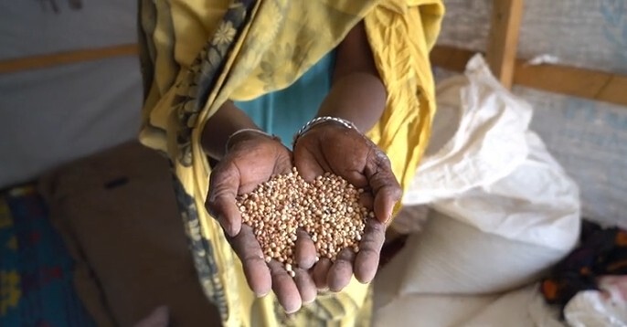 Captura de pantalla 2026-04-14 101440