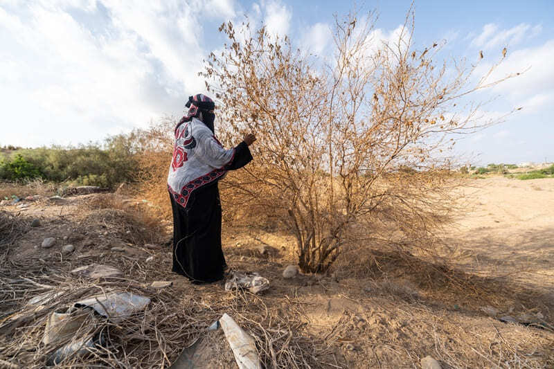 Oxfam InuruID 365878 Yemen 2023-12-06 10_52_56 (1)