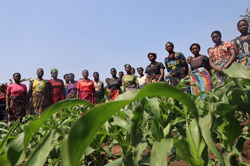 Oxfam InuruID 373056 Malawi 2024-08-10