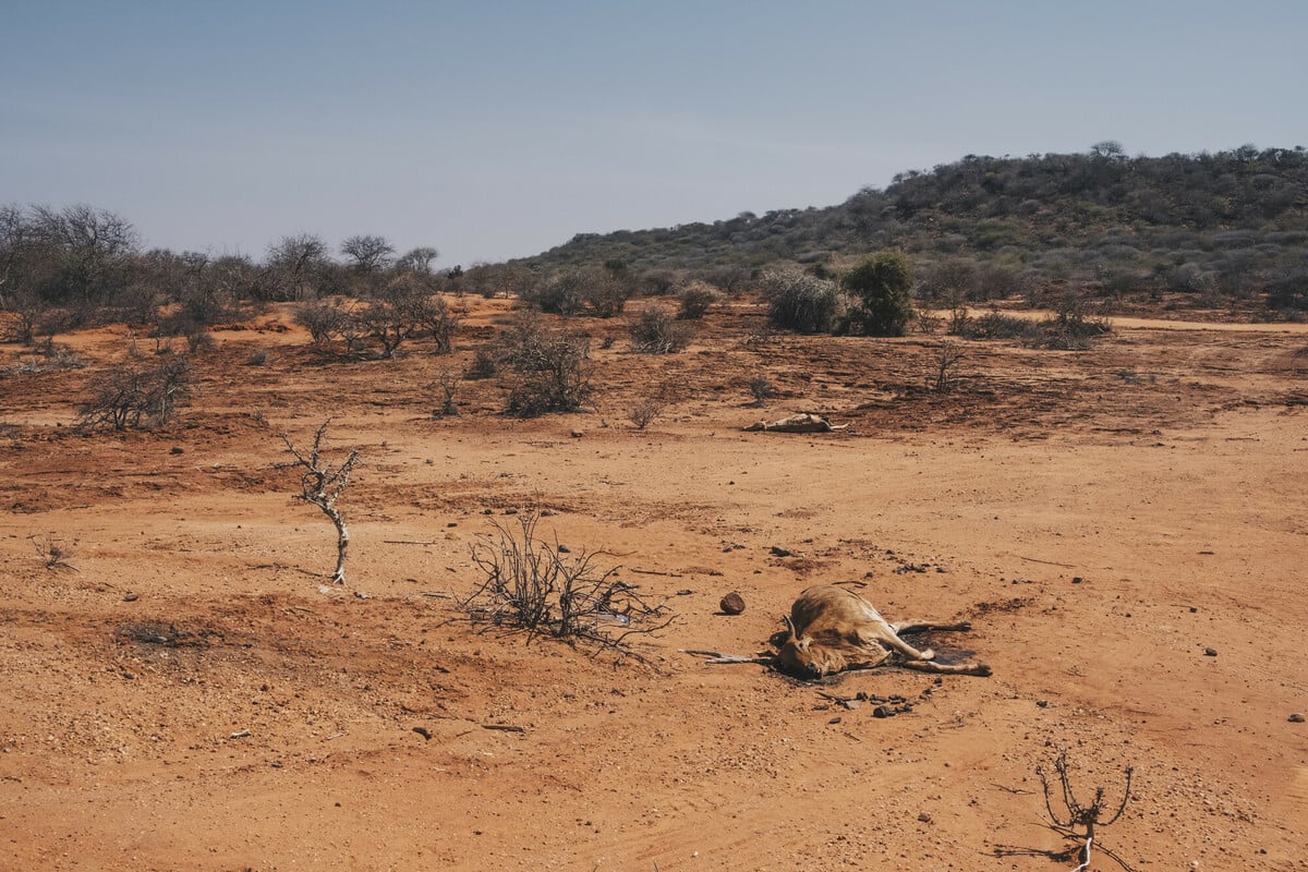 RS339785_wajir_oxfam-1-scr