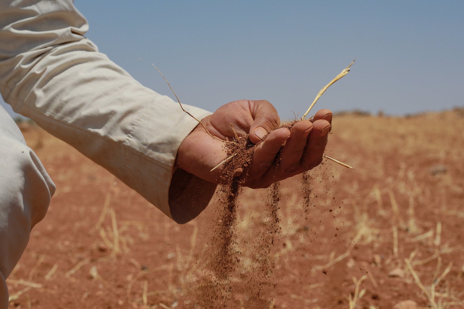 RS346794_Faraj, 56, a farmer from rural Aleppo-lpr