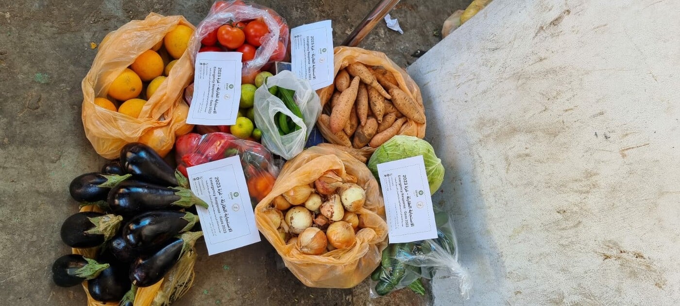 RS365182_Vegetables Parcels distribution_scr