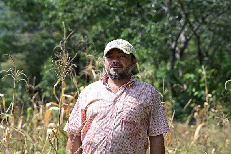 cambio-climatico-plantate-osman