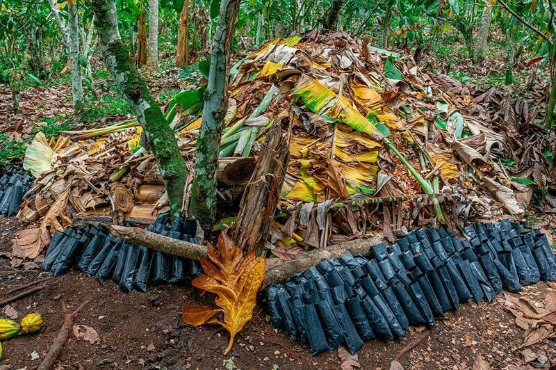 compost-impacto-medioambiental-social-comercio-justo