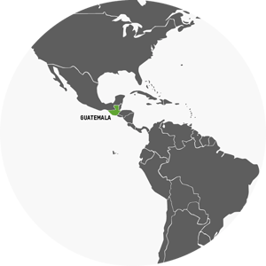 coronavirus-desigualdad-guatemala-gris