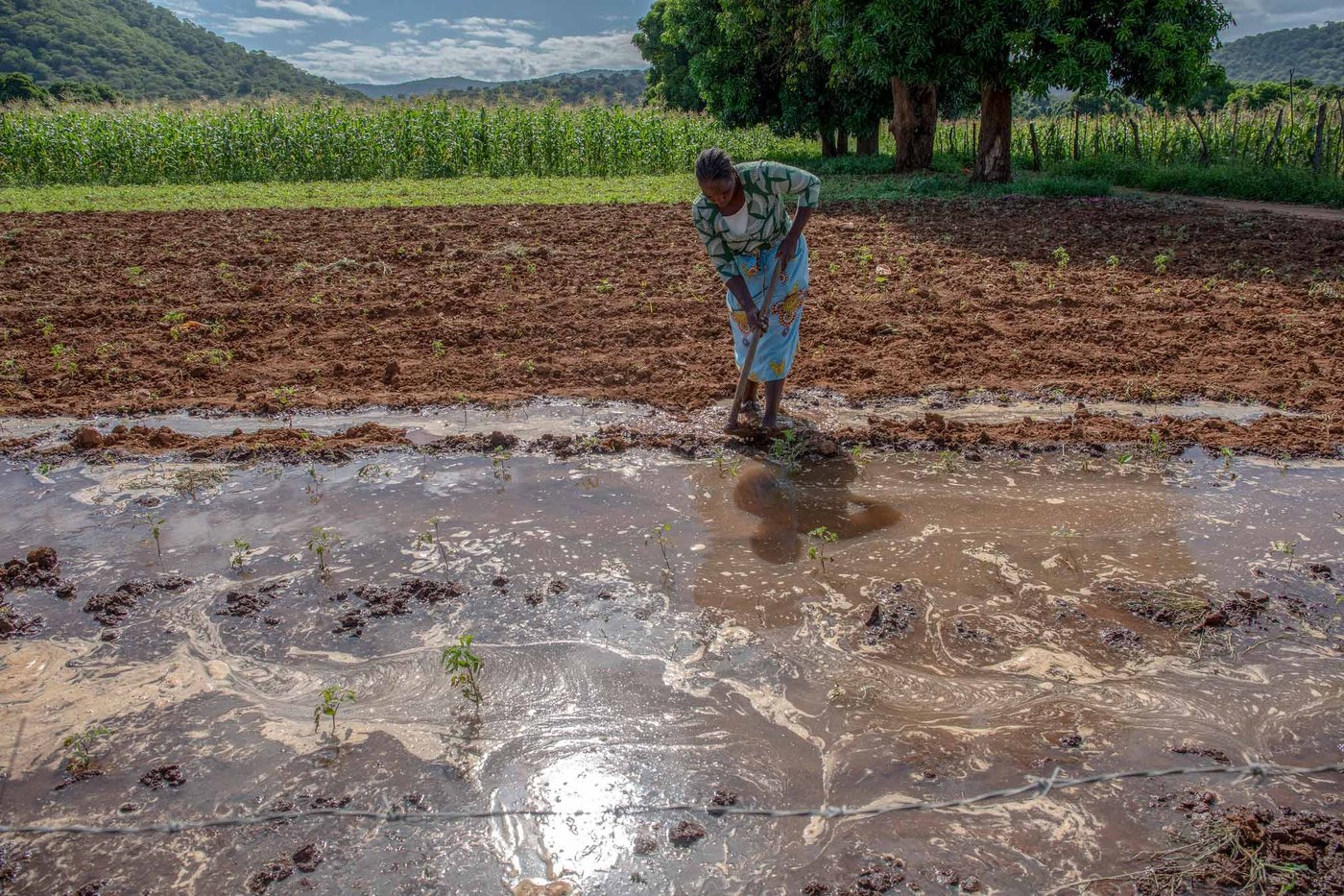 home-zimbabue-cambio-climatico