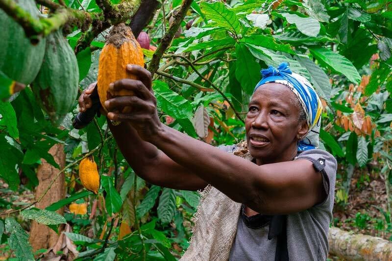 productoras-impacto-medioambiental-social-comercio-justo